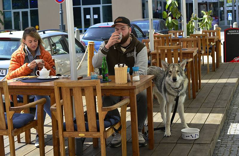 V Kadani,Klášterci nad Ohří a v Chomutově si lidé užívali otevření restauračních zahrádek.V některých zařízeních zahrádky byly prázdné.