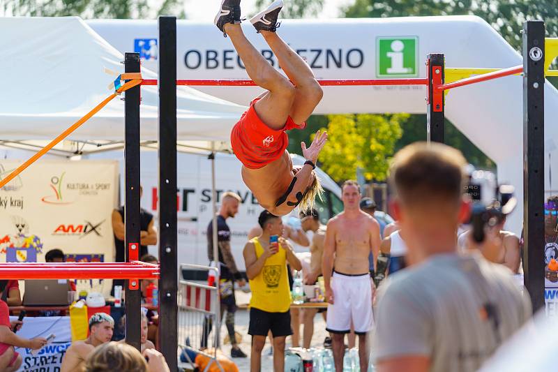 WSWCF Academy Street Workout World Cup 2020 na Kamencovém jezeře