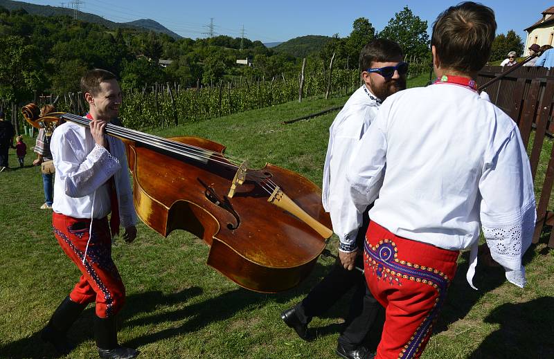 Svatováclavské vinobraní v Kadani.