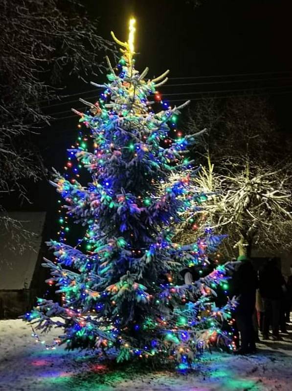 Vánoční strom v Novém Zvolání, části Vejprt