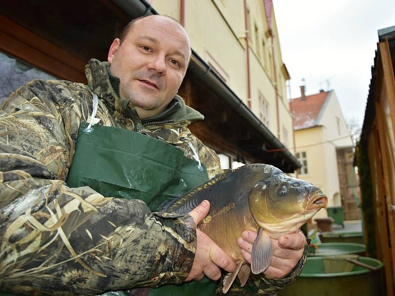 Rybí trh za chomutovskou radnicí bude otevřený až do 24. prosince. Na čím stole skončí kapr v náručí prodejce Štefana Kolenčíka mladšího?