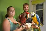 Radka Fejfarová se věnuje chovu exotických papoušků s přítelem Janem Havránkem.