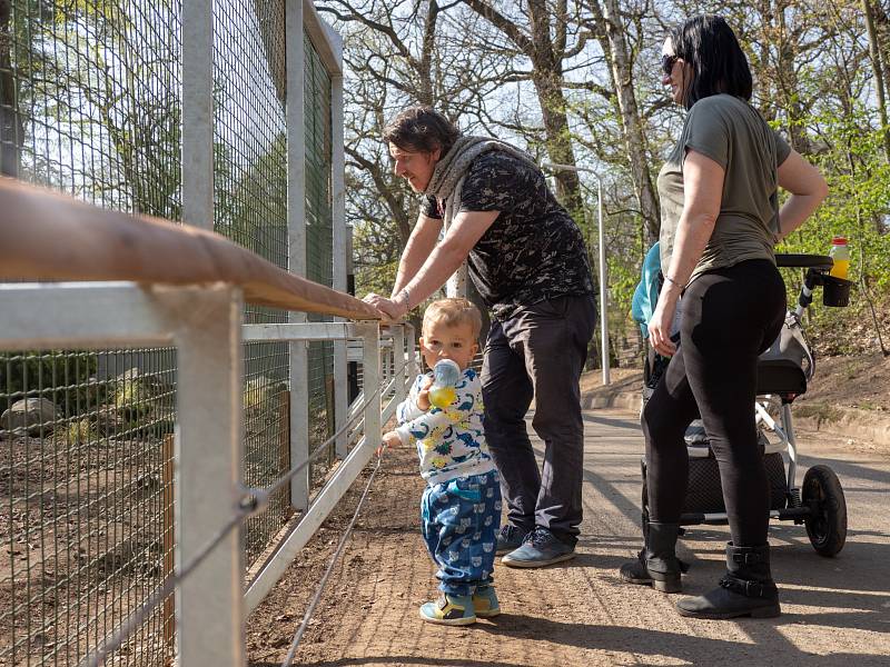 Oslava Dne Země v chomutovském zooparku