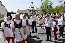 Baráčníci v Otvicích na Chomutovsku oslavili máj průvodem obcí a navštívili nevdané slečny.