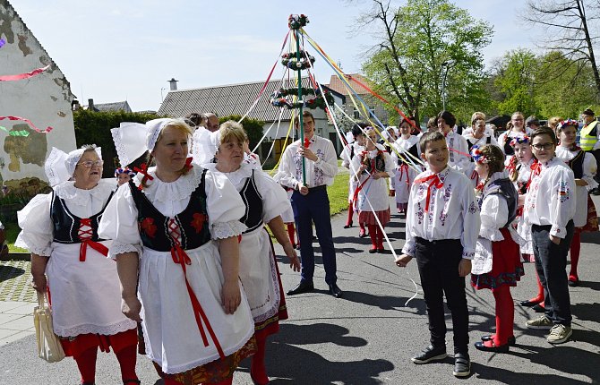 Baráčníci v Otvicích na Chomutovsku oslavili máj průvodem obcí a navštívili nevdané slečny.