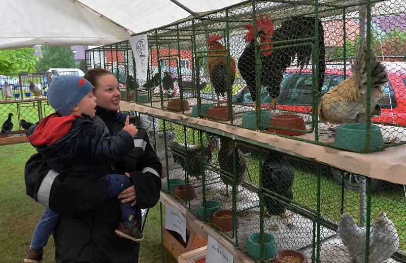 Farmářské trhy v Okoříně.