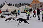 Pravé zimní počasí přilákalo do Lesné v Krušných horách spoustu závodníků a příznivců psích spřežení.