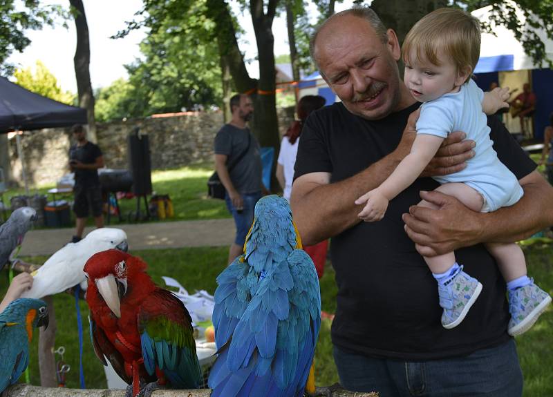 Charitativní akci v parku v Jirkově navštívilo spousta návštěvníků. Na závěr se uskutečnil běh.