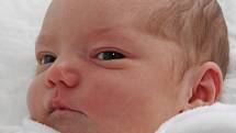 Dcerku Terezu Fartákovou přivedla na svět maminka Alena Horáková z Chomutova. Holčička se narodila 28.9. 2008 ve 21.15 hodin v chomutovské nemocnici, měří 52 centimetrů a váží 3,5 kilogramů.
