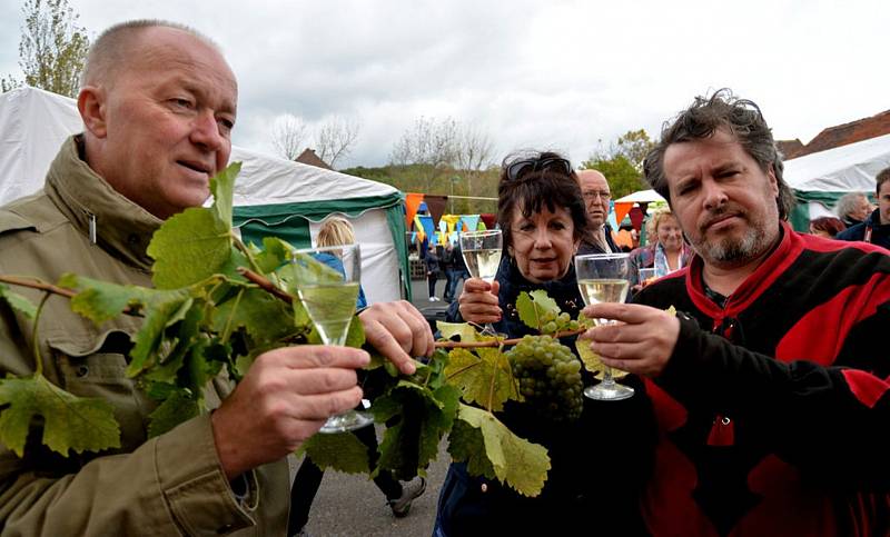 Vinobraní ve Stranné.