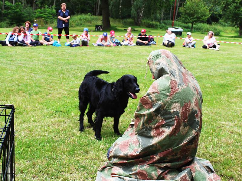 Čtyřnozí záchranáři ukázali dětem v Chomutově své umění