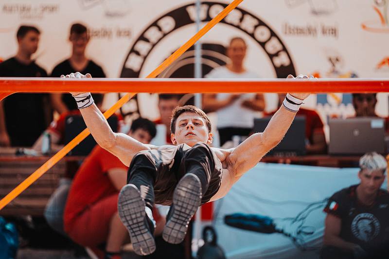 WSWCF Academy Street Workout World Cup 2020 na Kamencovém jezeře