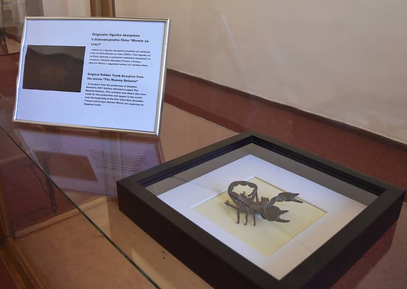 Jeden z mnoha škorpionů, který si "zahrál" ve filmu Mumie.