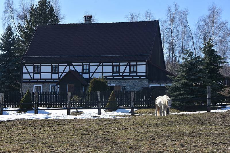 Koně na horské pastvině v Radenově.