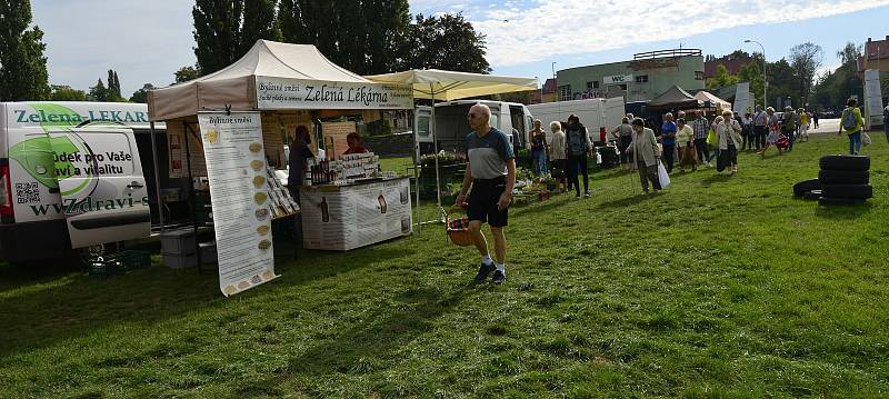 Chomutovské farmářské trhy zůstanou přesunuté nejméně do října.