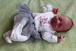 Martina Jarolíková se narodila mamince Dianě Jarolíkové z Chomutova 26. listopadu 2018 v 15.19 hodin. Měřila 49 cm a vážila 3,05 kg.