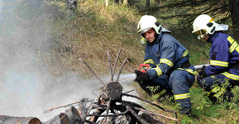 Cvičení DRILL 2014.