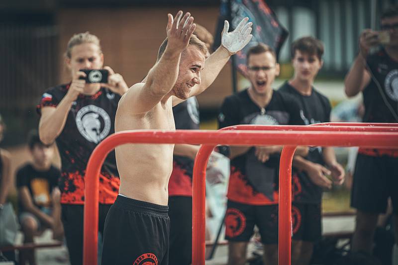 WSWCF Academy Street Workout World Cup 2020 na Kamencovém jezeře