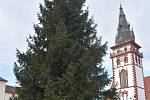 Na chomutovském náměstí 1. máje už stojí vánoční strom.