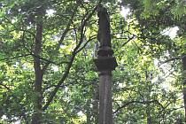 Přesto, že socha Panny Marie Immaculaty na Červeném hrádku stojí na podstavci, přes vysoké stromy není moc vidět. 
