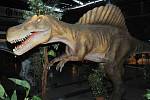 Dino Expo v Chomutově