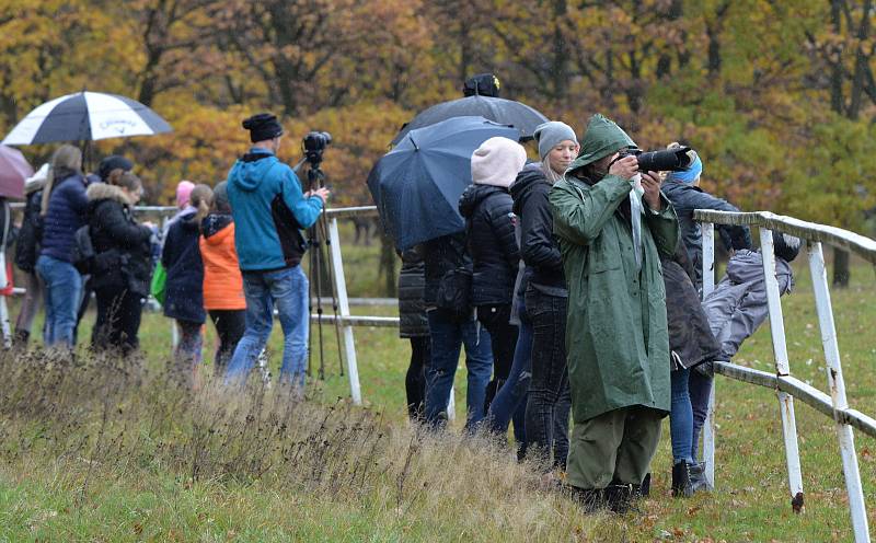 Hubertova jízda v chomutovském zooparku.