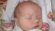 Klárka Koloušková se narodila 30. ledna 2015 v chomutovské porodnici, vážila 2900 gramů a měřila 51 centimetrů. Foto zaslala rodina.