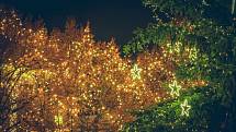 Rozsvícení vánočního stromu v Jirkově.
