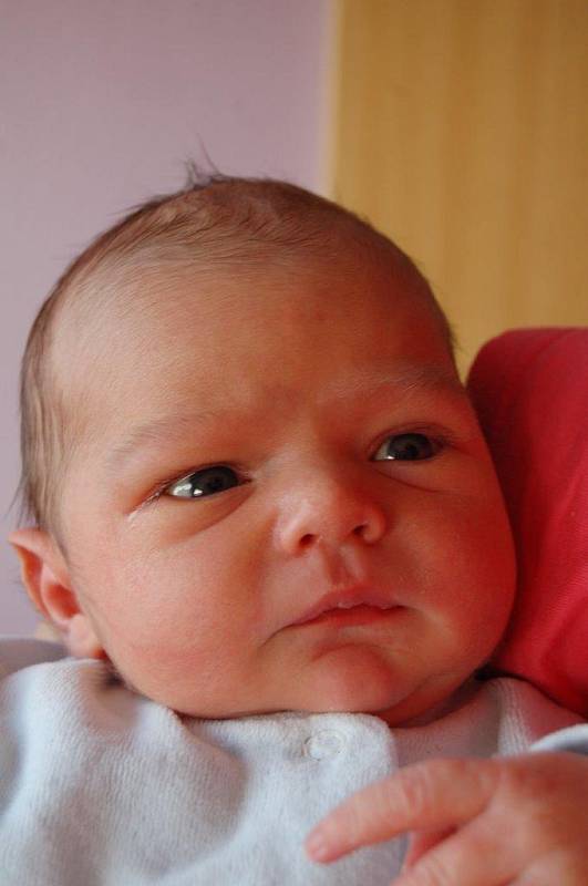 Matyášek Liška se narodil mamince Andree Pánkové 23. 2. v 17:17 hod. v kadaňské porodnici. Měřil 51 cm a vážil 3,68 kg. Rodina na ně čeká doma v Klášterci nad Ohří.