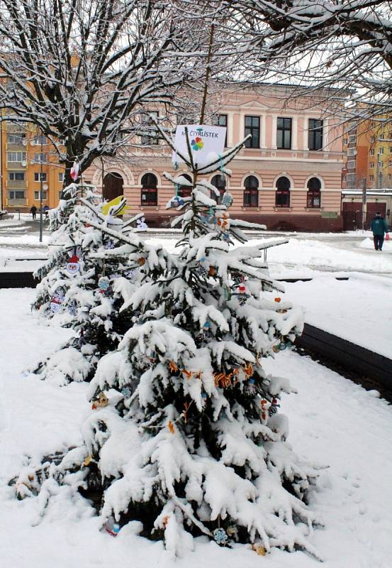 azdobené stromečky předškoláků a prvňáků na náměstí v Jirkově zasypal sobotní sníh.