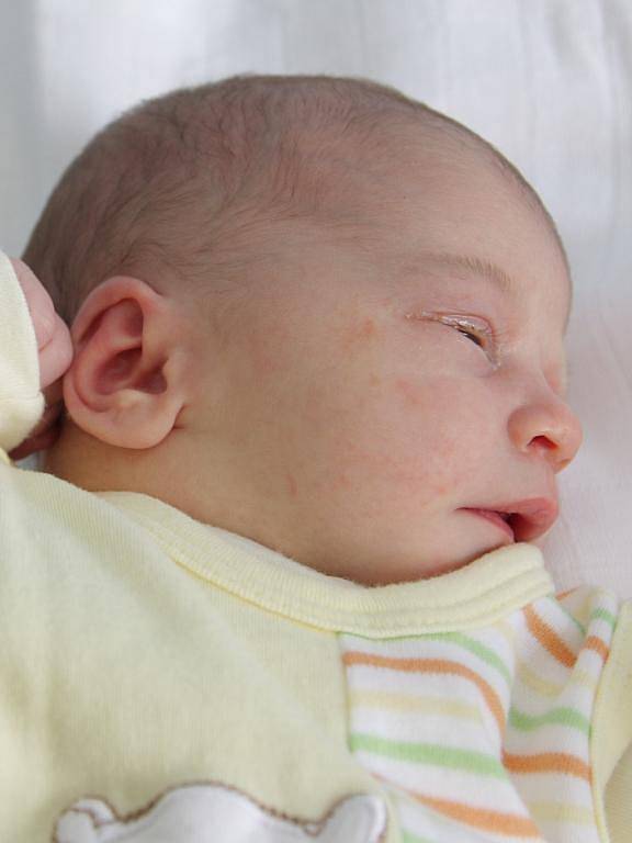 Mamince Nikole Nocarové z Chomutova se 9.8. 2009 ve 22.56 hodin narodila dcerka Natálie Dvorská. Holčička měřila po narození v chomutovské nemocnici 51 centimetrů a vážila 3,30 kilogramů.