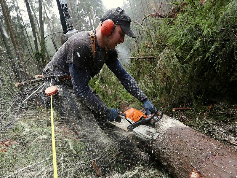 Říjnová vichřice stále vystavuje účty. Zákazy vstupu i zlámané stromy v lesích přetrvávají. Práce na odklízení stromů pokračují.