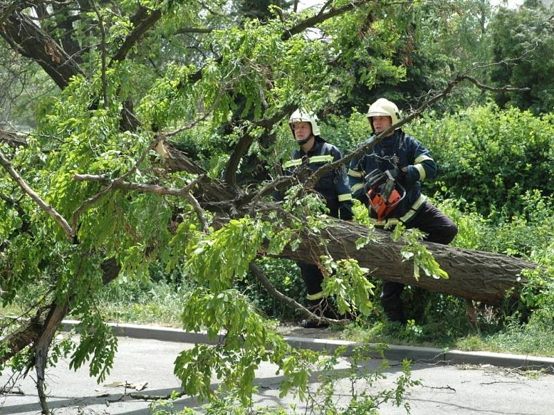 Zásah hasičů ve Spořicích. Vítr porazil strom, který spadl na auto.