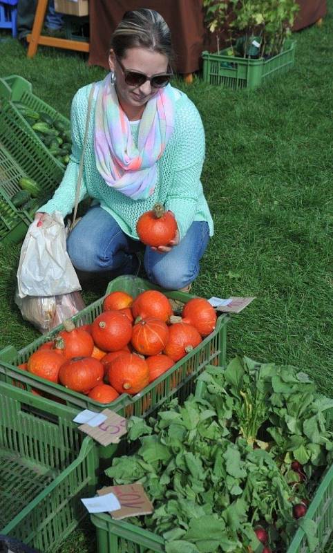 Venkovské farmářské trhy v Droužkovicích.