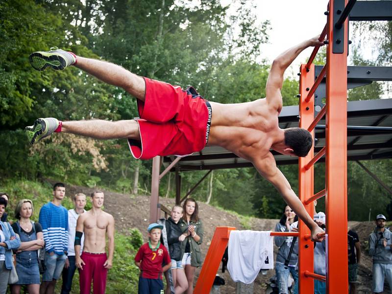 Hvězdy street workout nafotily benefiční kalendář pro rok 2016.