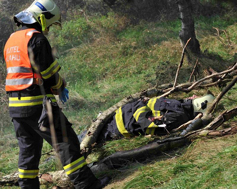 Cvičení DRILL 2014.