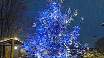 Vánoční strom u Kulturáčku v Boleboři