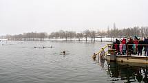 Zimní koupání na Kamencovém jezeře.