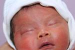 Mamince  Phan Thi Tra My z Kadaně se 3. května v 17.54 hodin v tamější porodnici narodil syn Tran Dienh Hieu, který měřil 48 centimetrů a vážil 2,37 kilogramu.   