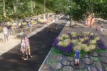 Jedna z hlavních cest v chomutovském zooparku se má proměnit v promenádu. Vizualizace zahradní architektky Kristýny Konopíkové.