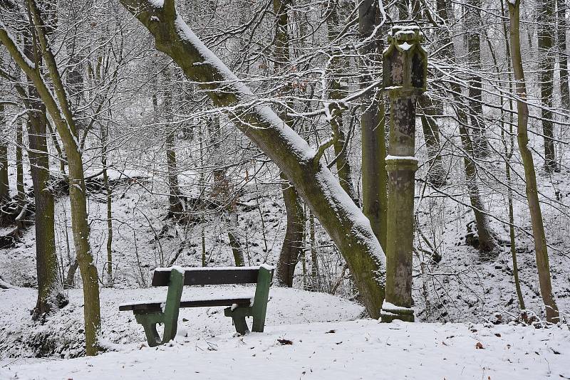 Rozlehlý park v Mašťově je potřeba revitalizovat. Rostou v něm památné duby.