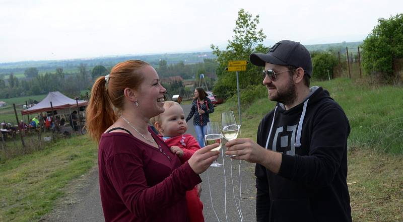 Jarní otevření vinohradů ve Vičicích na Chomutovsku