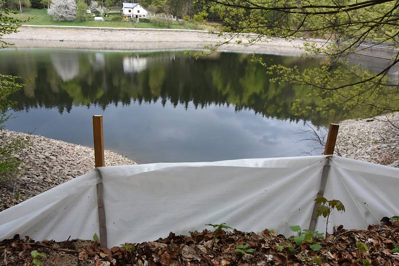 Bariéry, které brání ropuchám, aby dostaly k vodě. Kvůli klesající hladině by mohly přijít o snůšku.