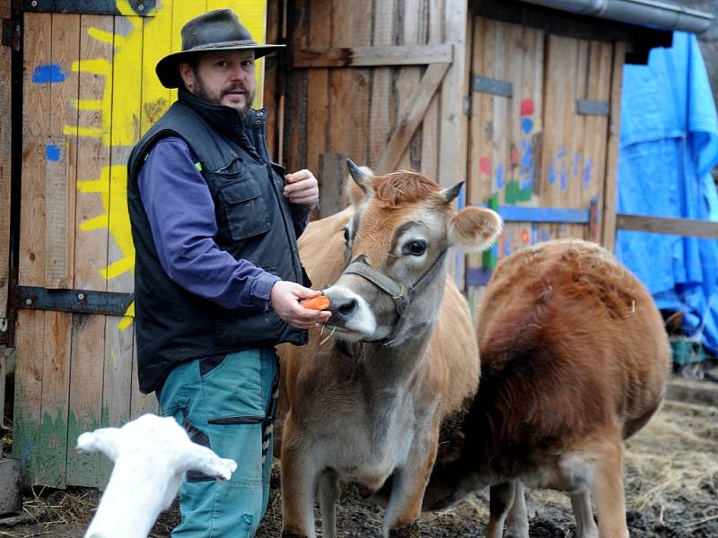 Farmář Radoslav Malarik z Drmal s okatou krávou Filoménou