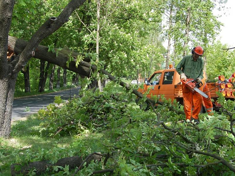 Pracovníci Správy a údržby silnic odstraňují polámané kašatny v Jirkově z cesty na Červený Hrádek.