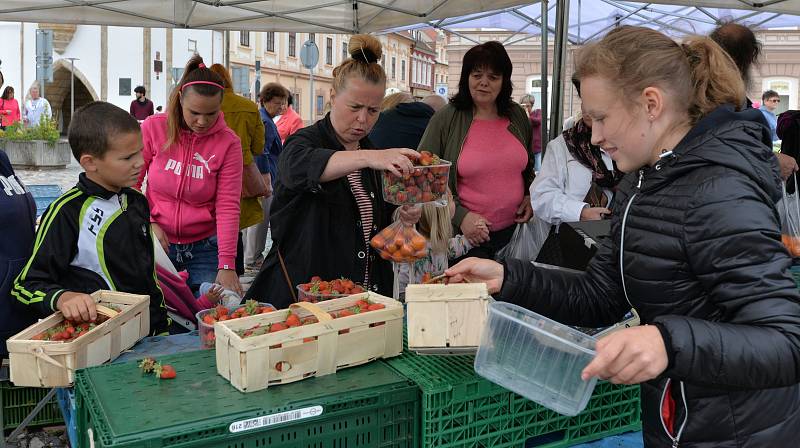 V Kadani rozdávali tipy na marmeládu snů