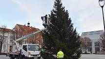 Zdobení vánočního stromu v Jirkově zabere hodiny.