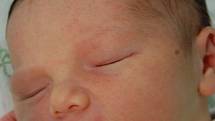 Takto spokojeně spinká Laurinka Zárubová, která se narodila Simoně Zárubové 16. 12. v 19:09 hod. v chomutovské porodnici. Měřila rovného půl metru a vážila 3,2 kg.