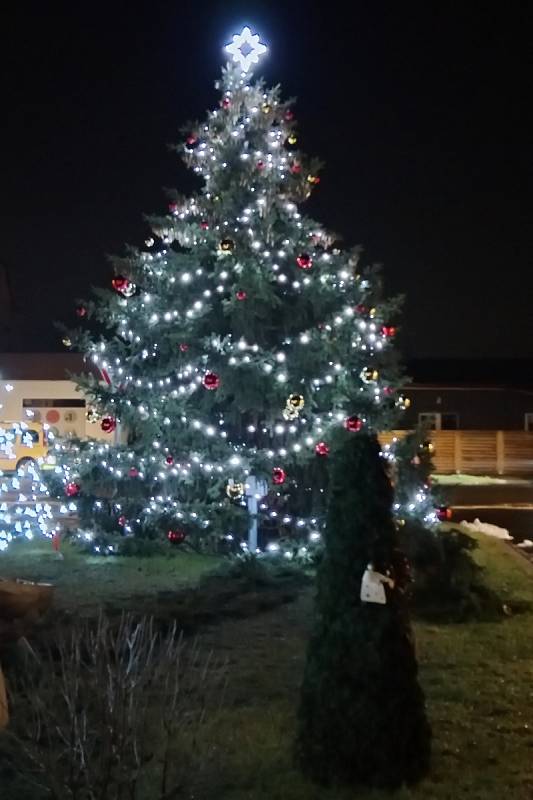 Vánoční strom v Černovicích