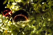 Který vánoční strom bude letos na Pardubicku nejkrásnější? Ilustrační foto. 